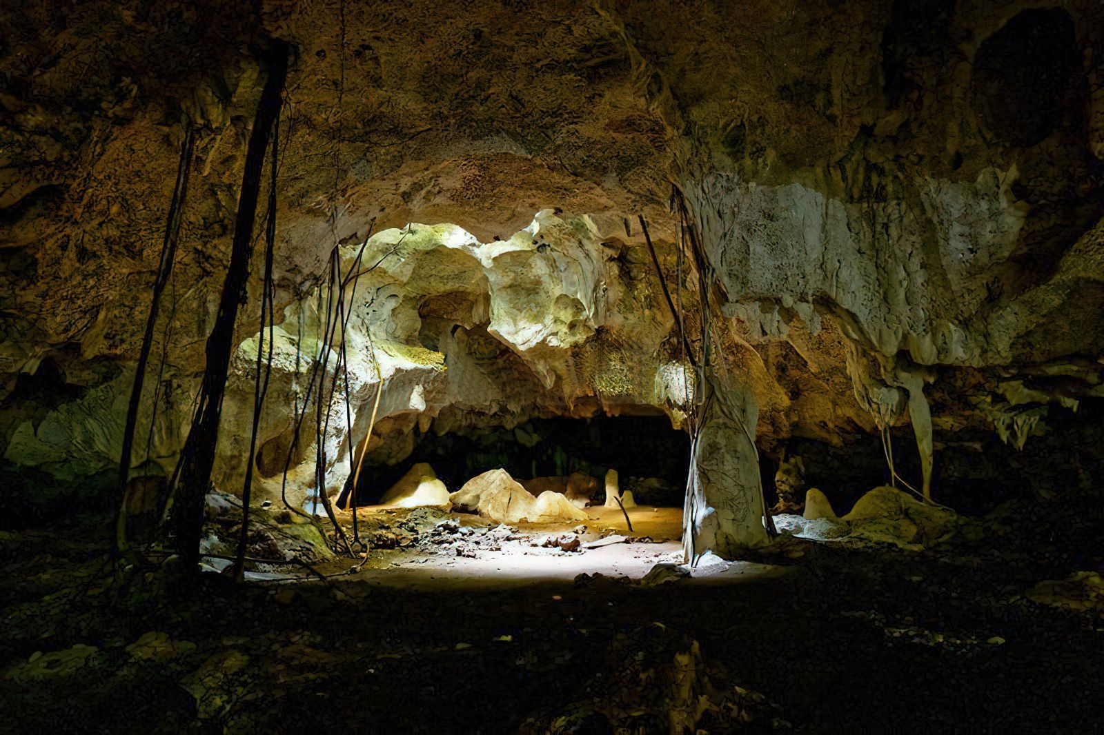 Taste of North Zanzibar Tour